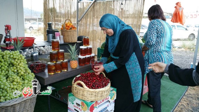  كفرقاسم: طاقم معلمي ومعلمات مدرسة جنة أبن رشد في رحلة للمعالم الاثرية في شمال البلاد 